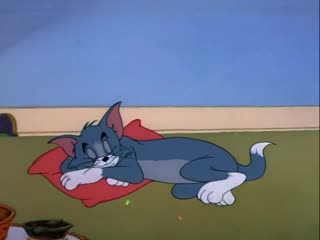 tom and jerry. episode 70. radio-controlled cat
