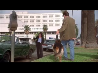 k-911: dog job 2/k-911, usa (1999) james belushi, christina tucci, james handy